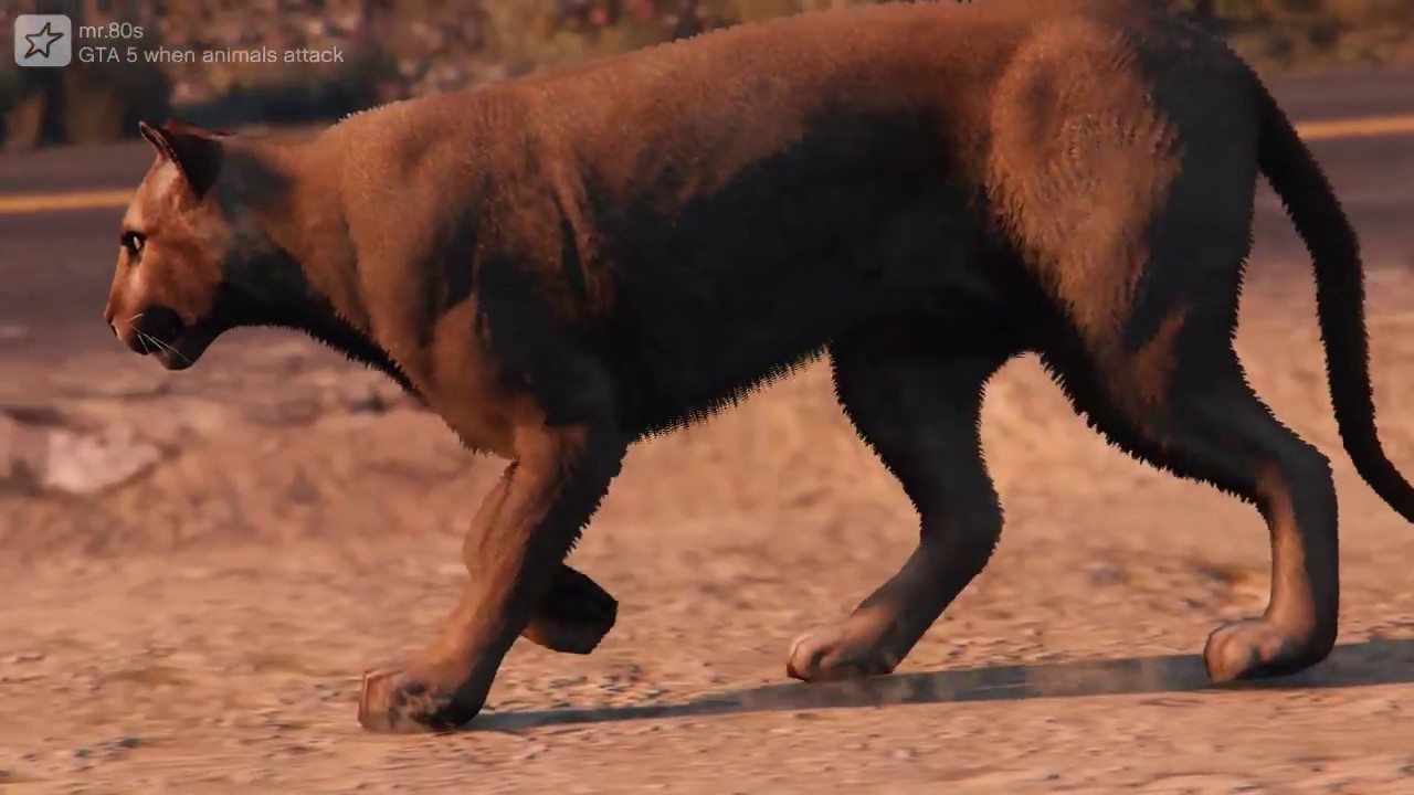 GTA 5 Editor - when animals attack - Ps4 Rockstar editor - YouTube