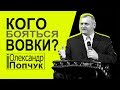 Кого бояться вовки?  Олександр Попчук │Проповіді християнські