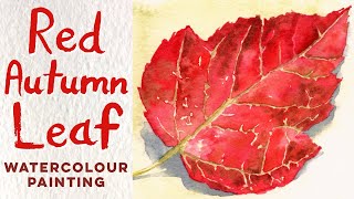 How to paint a Red Autumn Leaf - Watercolour tutorial