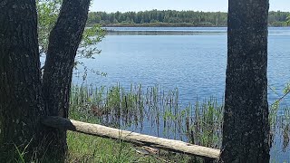 Какие энергии принесёт праздник Белтайн/Богини Живы 🍀🍀🍀