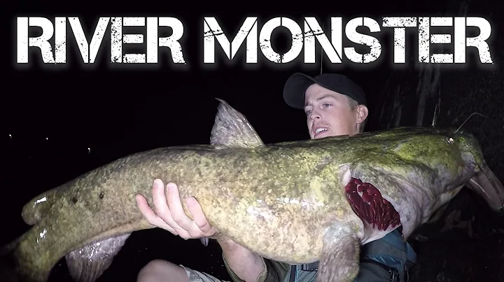 Big Flathead Catfish Caught From Kayak