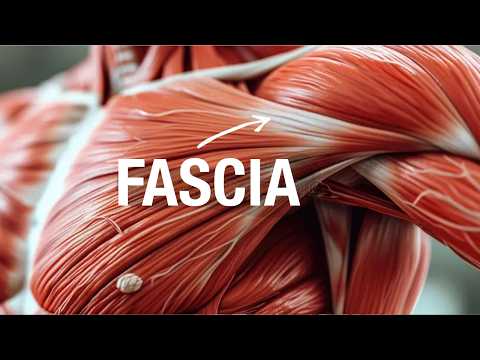 Thumbnail for What is Fascia? - Coach Chong Xie