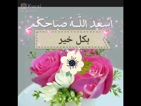 صباح الخير نهار سعيد 