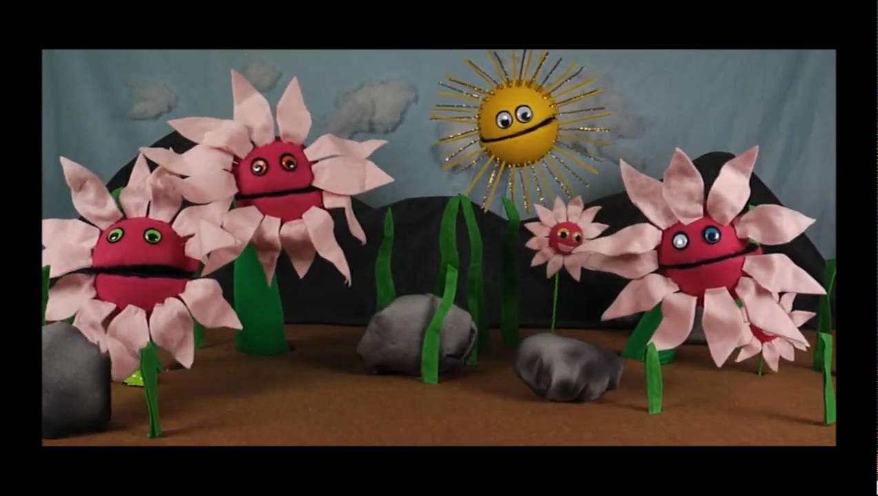 rocks and flowers (fan video)