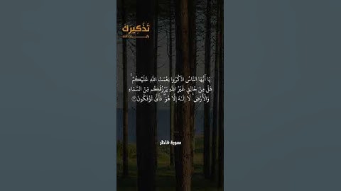 سورة فاطر الآيات من ٣ : ٤ بصوت القاريء مشاري راشد