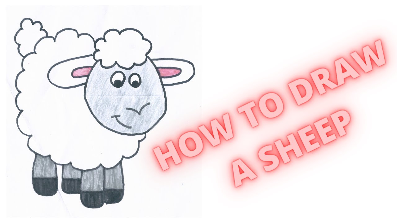 How To Draw A Sheep For Kids Step By Step (Easy) - YouTube