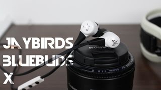 Jaybird Bluebuds X Cinematic Review