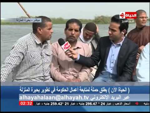 الحياة الآن مباشر من بحيرة المنزلة ورصد لآراء الصيادين بعد قرار الحكومة بتطوير بحيرة المنزلة