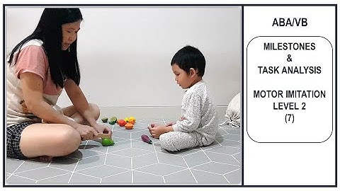 Milestones  & Task Analysis  - Motor Imitation  Level 2 (7)