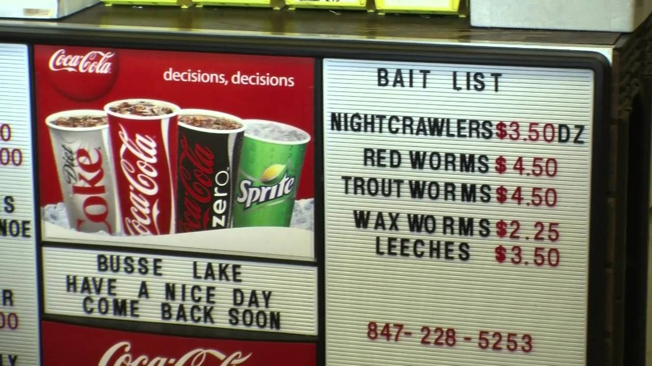 Spotlight: Ned Brown Forest Preserve