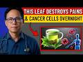 Steep This Common Leaf in Hot Water — It May Help Your Joints, Skin & Blood Sugar After 60