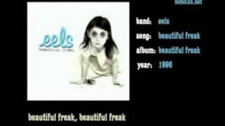 Video thumbnail of "eels - beautiful freak"