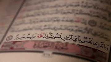 القارئ سعود الفايز - سورة الملك
