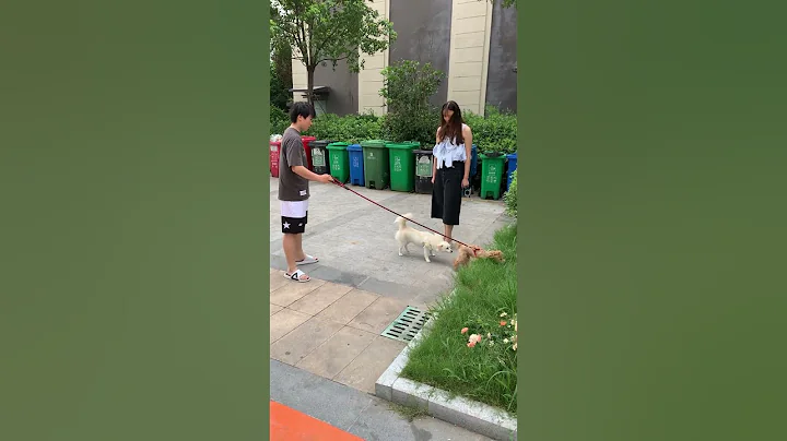 兩隻陌生的狗狗，在垃圾桶前初遇 - 天天要聞