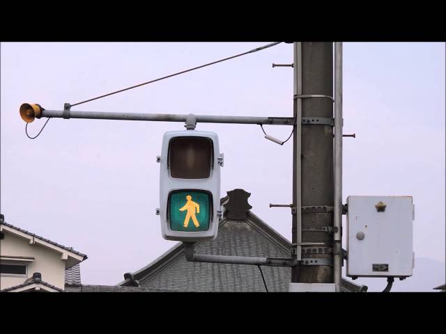 交通信号機】小糸工業製 警交仕規第21号(カッコー) - YouTube