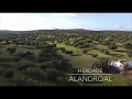 Herdade de 80HA | ALANDROAL | EV71829