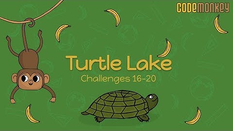 CA LESSON 4 SOLUTIONS: Turtle Lake (16-20)