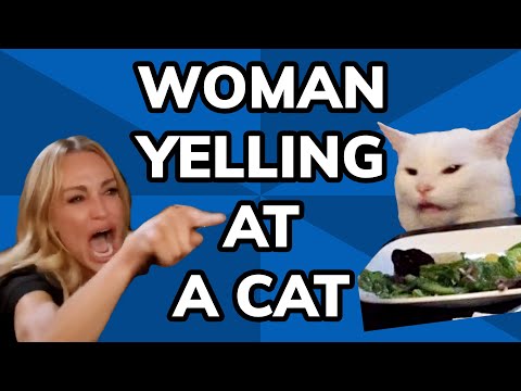 How An Unlikely Marriage of Memes Gave Us ‘Woman Yelling at Cat’ | Meme History