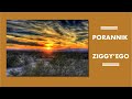 Porannik Ziggy'ego - 08 01 2025 - Statek-Matka nadchodzi ku Ziemi! Oraz sam zrób porządki