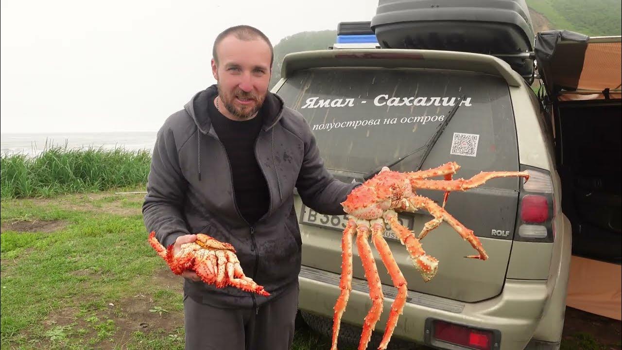 Краб в машине