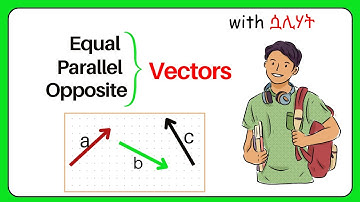 Types of Vectors በአማርኛ | Equal, Opposite & Parallel Vectors Explained Easily!