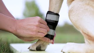 Neoally dog front leg carpus/wrist braces (pair)