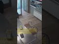 Un cliente inusual se cuela en un bar de Ribes de Greser, en Girona
