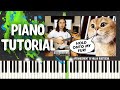 The Kiffness x Oh Long Johnson 2.0 - Hold Onto My Fur (Talking Cat Song) | Piano Tutorial