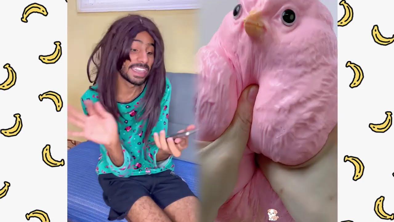 🤣👌👌👌2026 pov Must-Watch Crazy Clips Compilation #humor #fypシ #pov #fyp #foryou #funny 😍