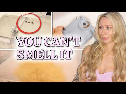 Your House Smells... Here Are the 5 Places It’s Hiding