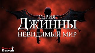 Серия Джинны #1 - Невидимый Мир