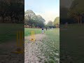right arm orthodox spin attack