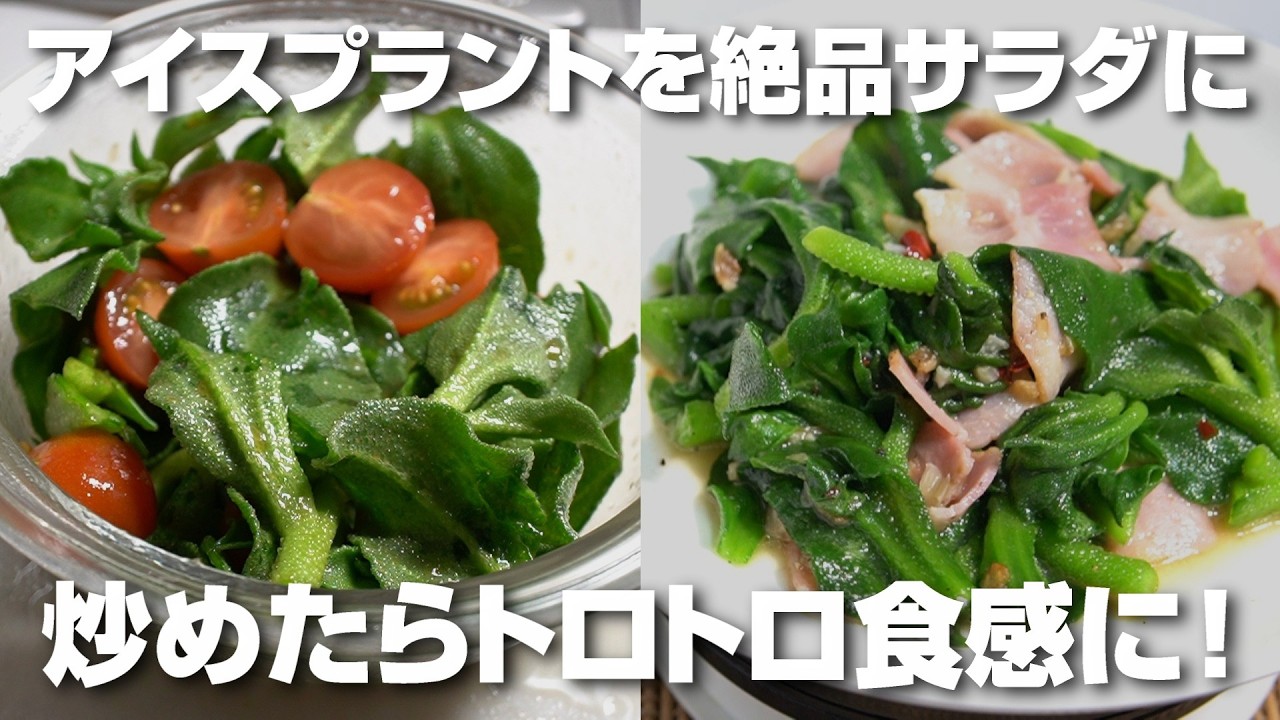 アイスプラントを相性抜群のトマトと絶品サラダに、炒めたらトロトロ食感に！