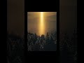燈/Beacon 真冬の寒い朝に見られるサンピラー #自然写真
