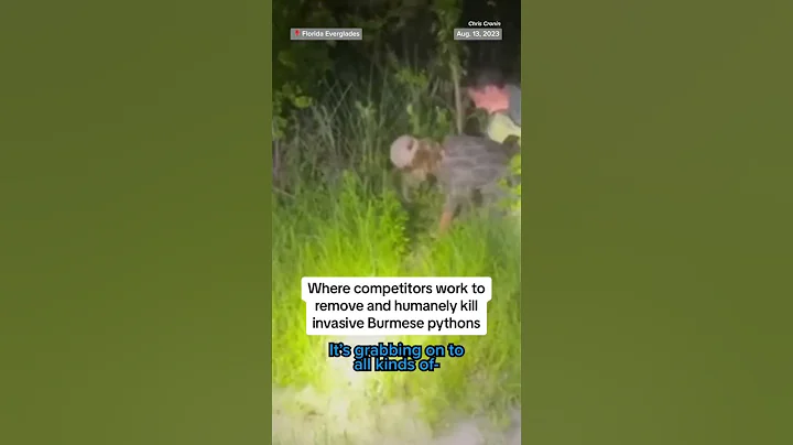 Florida man catches nearly 16-foot snake