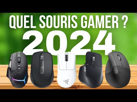 Souris gamer, Top périphériques PC Janvier 2024