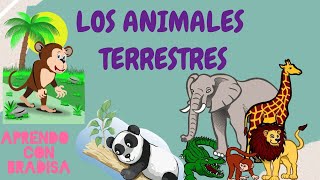 los animales terrestres para niños en español video educativo- aprendo con bradisa