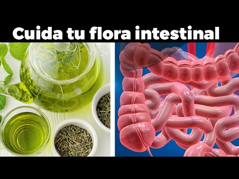 Video: 3 formas de restaurar la flora intestinal