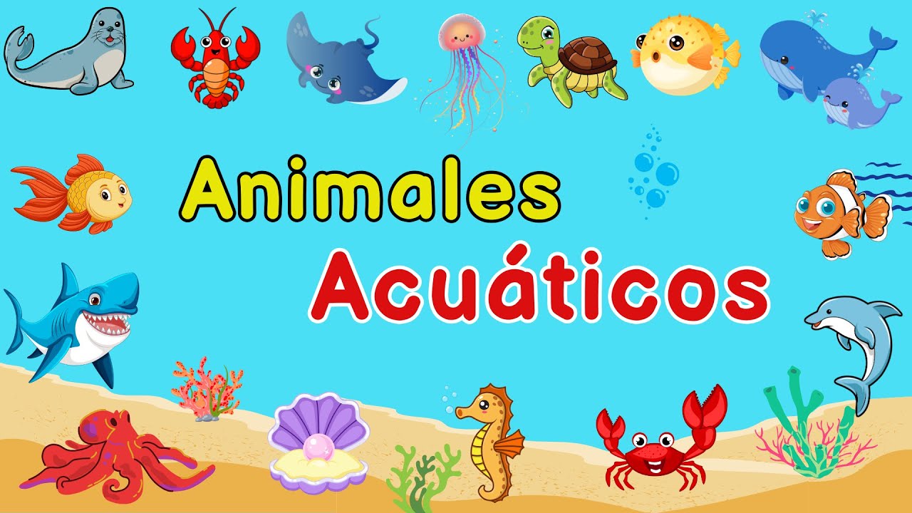 ANIMALES MARINOS PARA NIÑOS: Diversión y Aprendizaje Acuático 🐬🦭🦑🐡🪸🐠🐙🦞| Videos educativos infantiles
