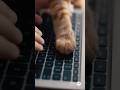リモートデスクワーク with 猫