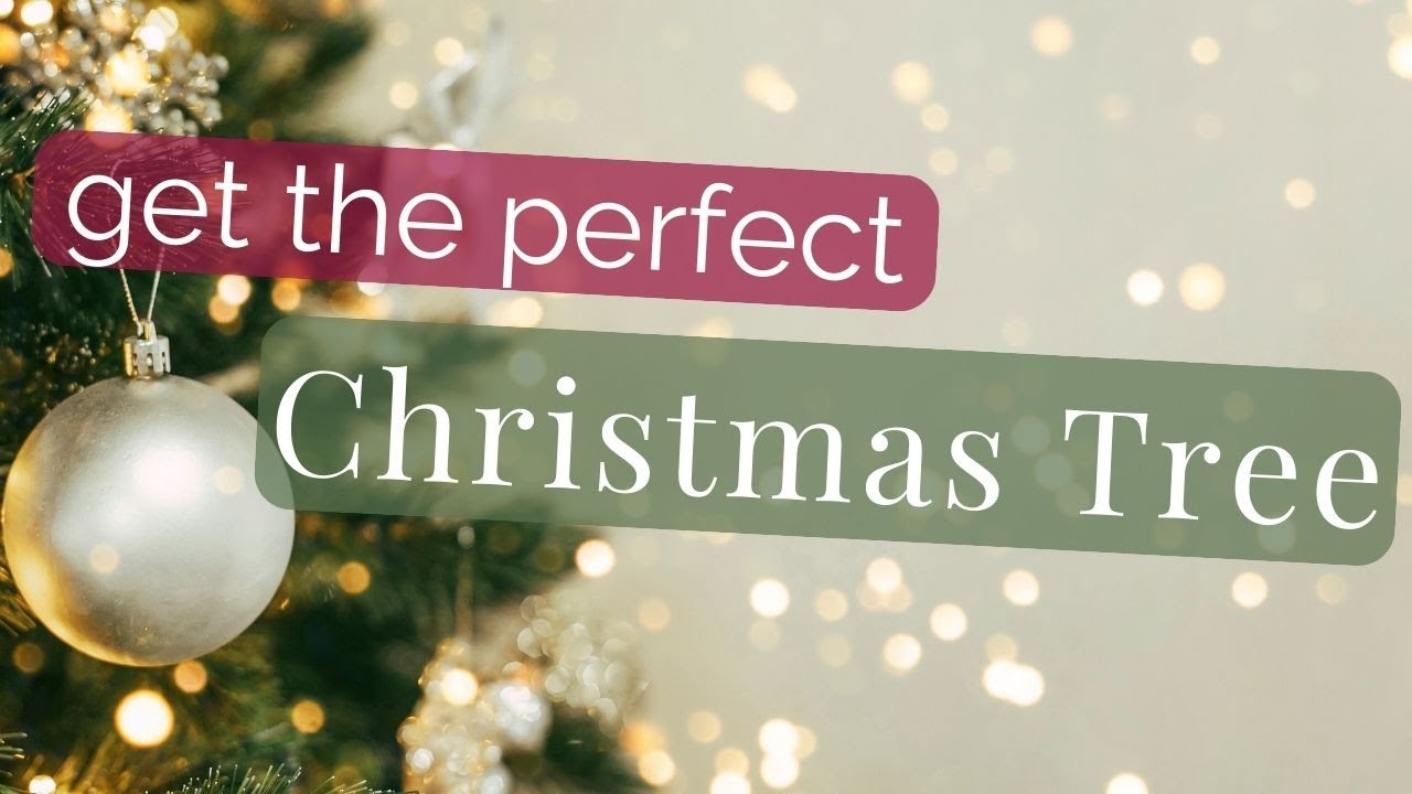 ALL the Christmas Tree Decorating HACKS of my BEST tips