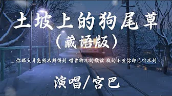 土坡上的狗尾草(藏语版)-宫巴「唱首狗儿的歌谣 我的小黄你却已听不到 」动态歌词 高音质 土坡上的狗尾草(藏语版)-宫巴「唱首狗儿的歌谣 我的小黄你却已听不到 」动态歌词 高音质