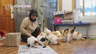 외딴 산골에 동물 대가족을 꾸리게 된 사연 [동물극장 단짝] | KBS 230114 방송