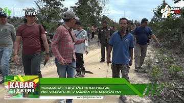 WARGA MELAYU TEMPATAN SERAHKAN PULUHAN HEKTAR KEBUN SAWIT DI KAWASAN TNTN KE SATGAS PKH