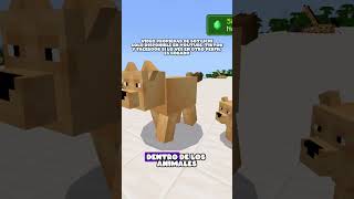Mods de MCPEDL || Immersive  Fauna || Minecraft Bedrock #minecraft #addon