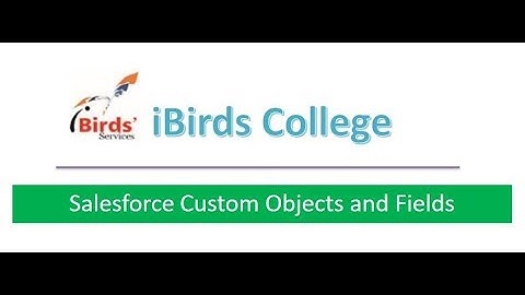 3. Salesforce Custom Objects & Fields Hindi