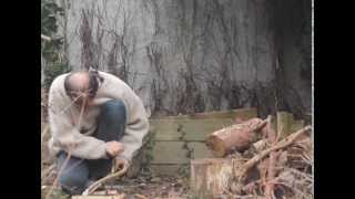 Der Feuerbohrer Aus Der Ligusterhecke