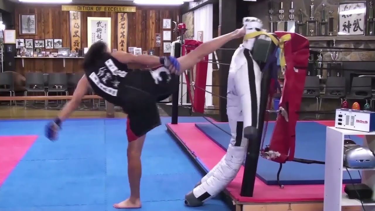 Kung-fu Sanshou Kickboxing/Boxing