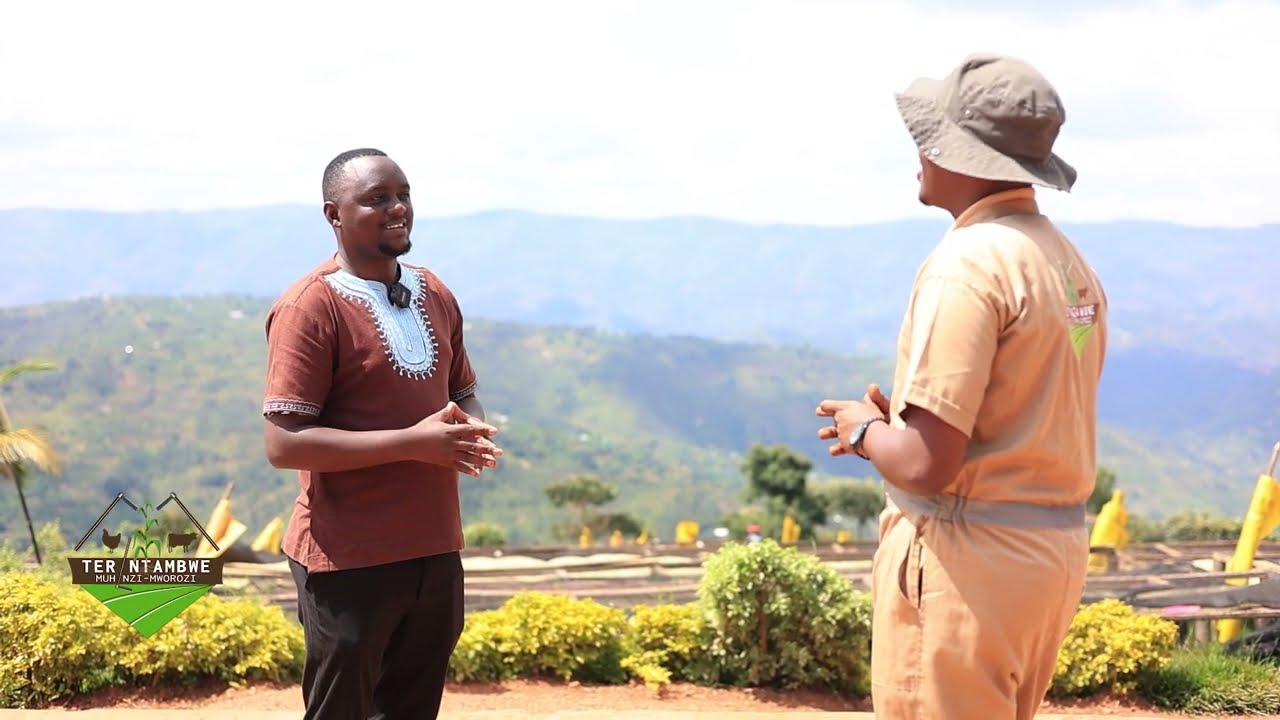 Sobanukirwa ubuhinzi bwa Kawa | Tera Intambwe Muhinzi Mworozi