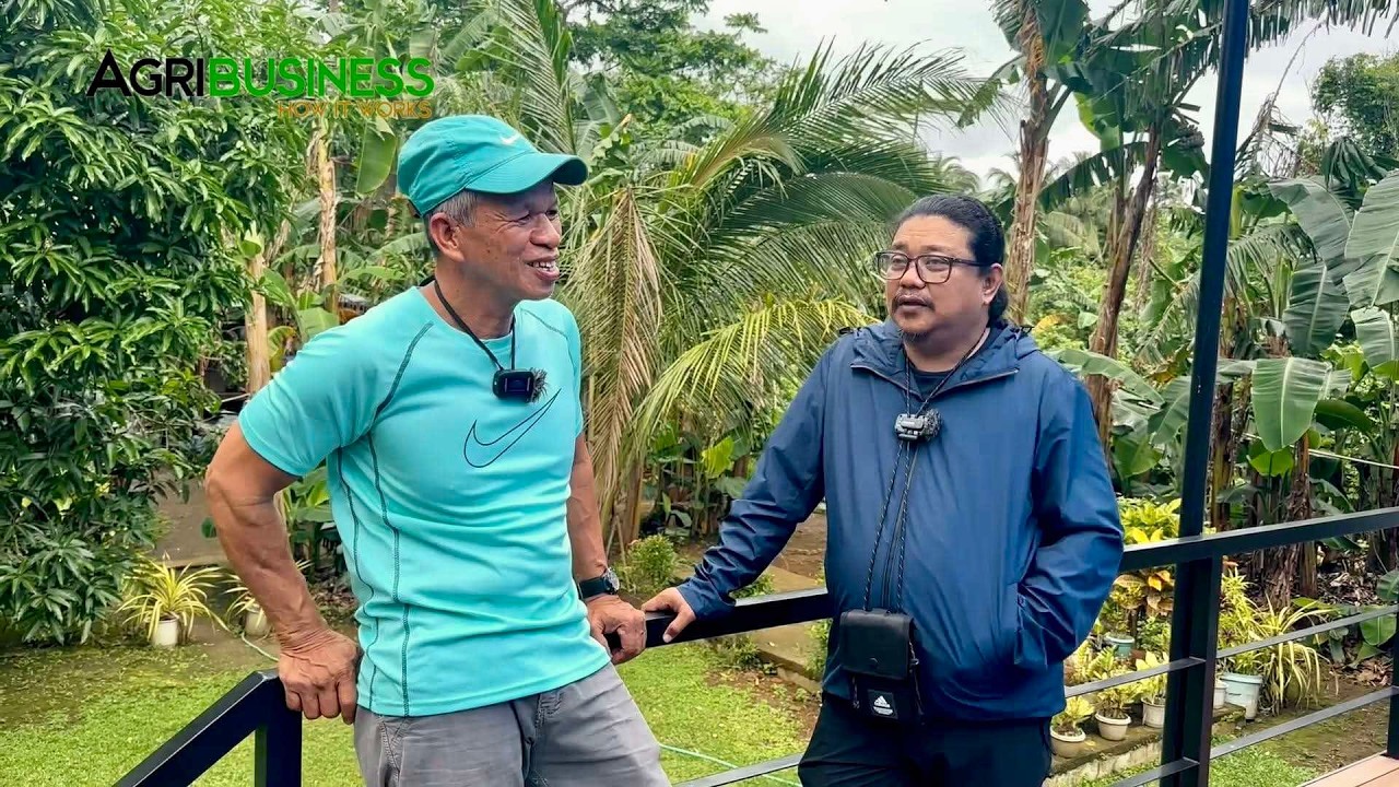 Magkano Kinikita ng Masipag na Katiwala sa Farm? Kapag Masipag Hindi Makakaisip ng Masama!